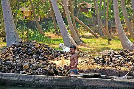 Inde Kerala les backwaters