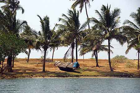 Inde Kerala les backwaters