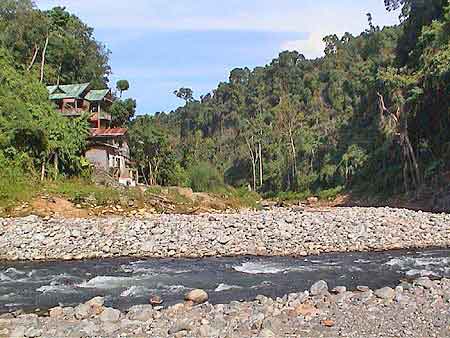 Indonesie Bukit lawang Sumatra et  Orang Outans   