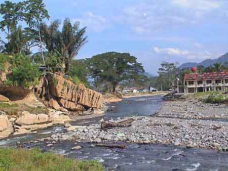 Indonesie Bukit lawang Sumatra et  Orang Outans   