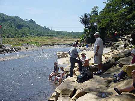 Indonesie Bukit lawang Sumatra et  Orang Outans   