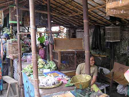 Indonesiemarché aux oiseaux  Yodjakarta Java 