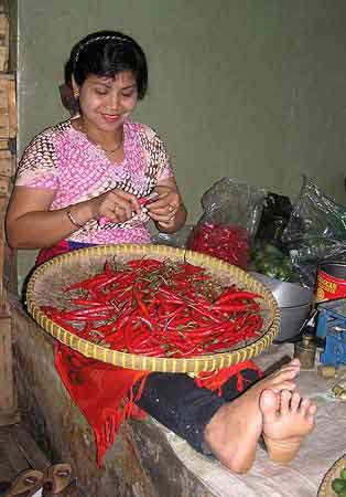 Indonesie route  Java paysages march village