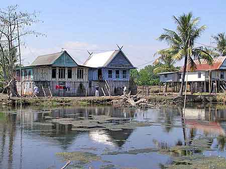 Indonesie  Pays Bugis Sulawesi  