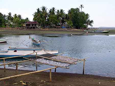 Indonesie  Pays Bugis Sulawesi  