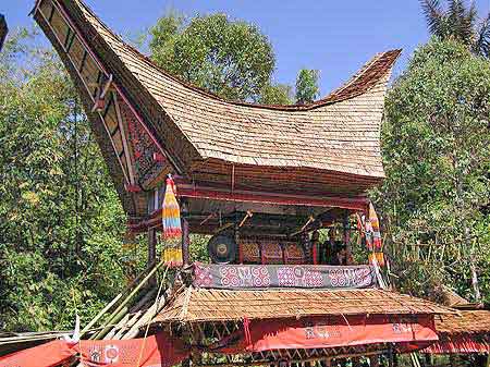 Indonesie Cérémonie funéraire  Tona Toraja  Sulawesi 