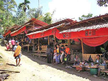 Indonesie Cérémonie funéraire  Tona Toraja  Sulawesi 