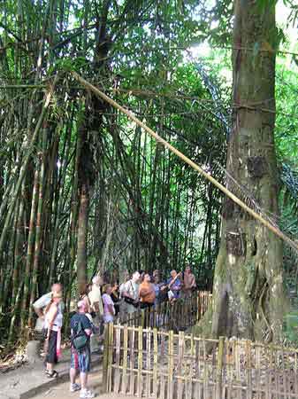 Indonesie Tau Tau  Tona Toraja  Sulawesi 