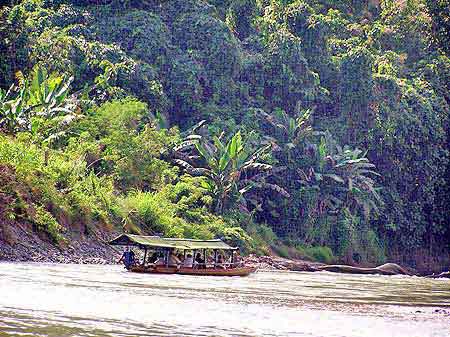 Indonesie  rivière Tona Toraja  Sulawesi 