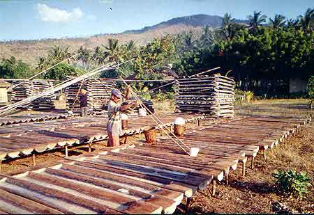 Bali, Indonsie, Amed fabrique du sel  