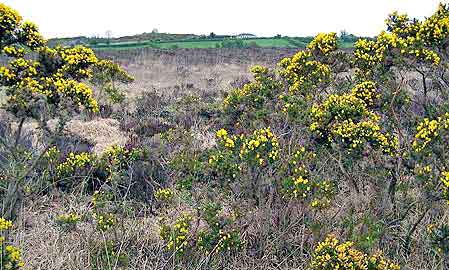 Irlande Mayo : les tourbières  