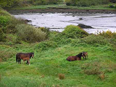 Irlande Connemara Ballyconneely