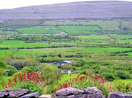 Irlande Burren  Les grottes d'Aillwee 