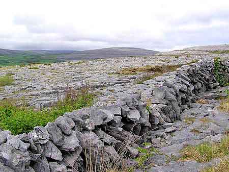 Irlande le plateau des Burren 