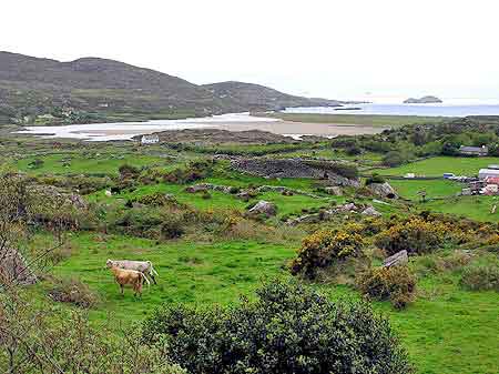 Irlande Ring of Kerry  