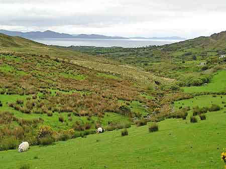 Irlande Ring of Kerry  