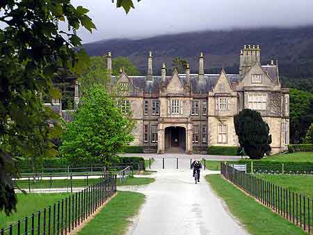 Irlande Killarney National Park 
						Muckross  