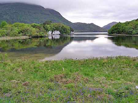 Irlande Killarney National Park 
						Muckross  