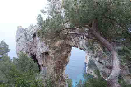 arche naturelle Capri