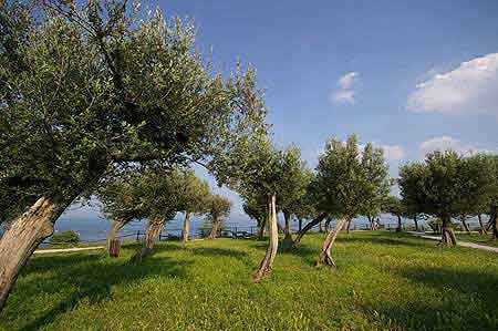 Sirmione Lac de Garde