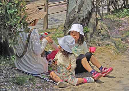 chemin de la philosophie à Kyoto avec cerisier en fleur pique nique 