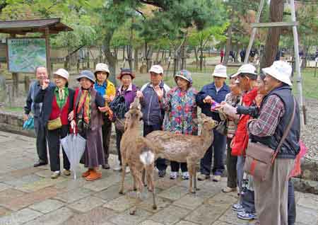 parc aux cerfs de Nara - Japon