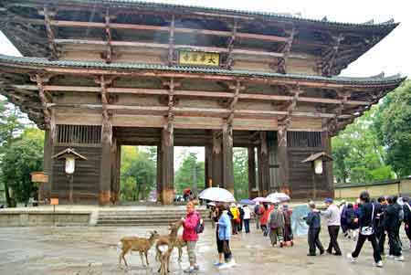 parc aux cerfs de Nara - Japon