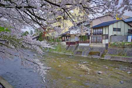 Takayama rivière Myia