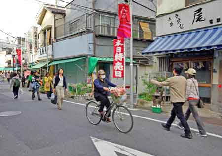 Quartier populaire de Yanaka à TOKYO - Japon