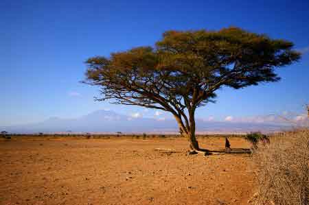 Kenya Masai  village