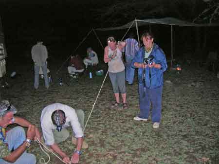 Kenya  lac Bogoria