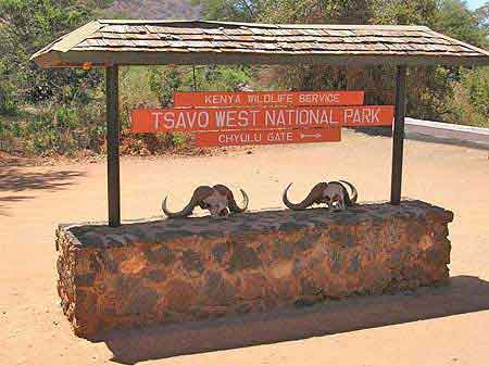 Kenya safari parc Tsavo