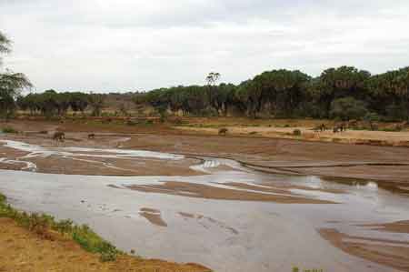 Kenya Parc  Buffalo Springs