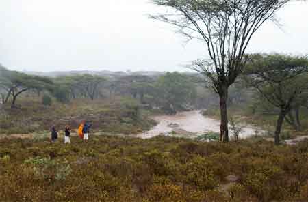 kenya route  le lac Turkana, mer de jade