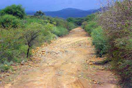 Kenya piste de safari dans le nord