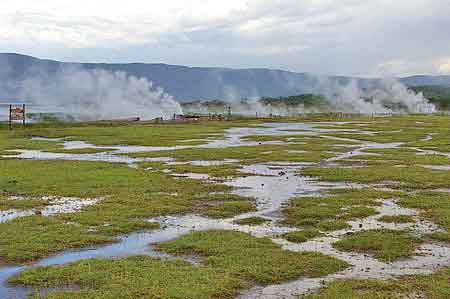 Kenya  lac Bogoria