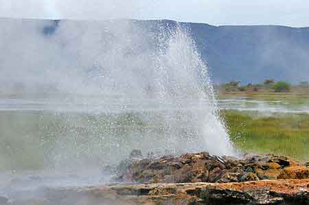 Kenya  lac Bogoria