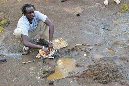 Kenya  lac Bogoria