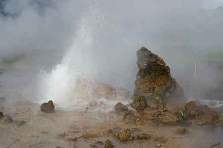 Kenya  lac Bogoria