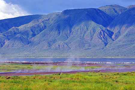 Kenya  lac Bogoria