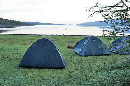 Kenya  lac Bogoria