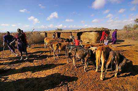 Kenya Masai  village