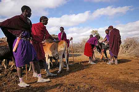 Kenya Masai  village