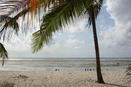 Kenya ocean indien plage Tiwi beach