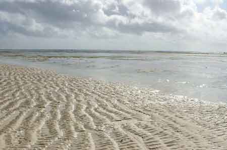 Kenya ocean indien plage Tiwi beach