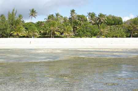 Kenya ocean indien plage Tiwi beach