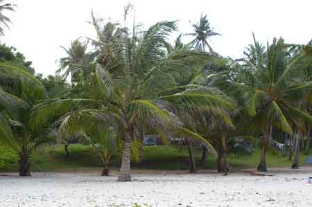 Kenya ocean indien plage Tiwi beach