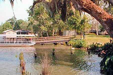 Le bayou Têche