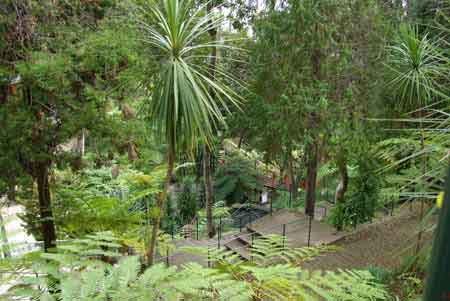 le jardin tropical de Monte Funchal Madere