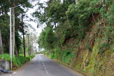 route ER103 à Madère